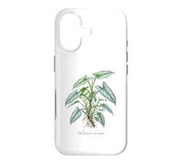 Custodia per iPhone 17 Illustrazione della pianta della spada d'argento del filodendro
