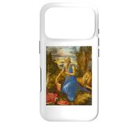 Custodia per iPhone 17 Pro Albrecht Dürer - San Girolamo nel deserto #2