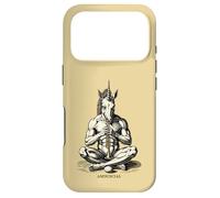 Custodia per iPhone 17 Pro Amduscias Il silenzio è assordante