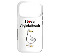 Custodia per iPhone 17 Pro Amo Virginia Beach