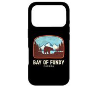 Custodia per iPhone 17 Pro Baia di Fundy Canada