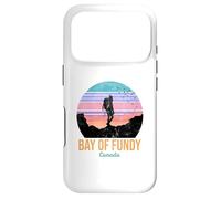 Custodia per iPhone 17 Pro Baia di Fundy Canada