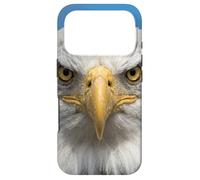 Custodia per iPhone 17 Pro Bald Eagle Close Up Ritratto Sharp Wildlife Face