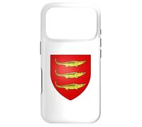 Custodia per iPhone 17 Pro Bandiera di Bamako - Mali