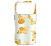 Custodia per iPhone 17 Pro Bassotto Sfumato Crema A Righe A Pelo Lungo A Strisce