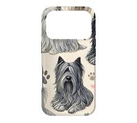 Custodia per iPhone 17 Pro Bellissimo modello a pelo lungo Skye Terrier Cani Carino Setoso