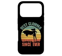 Custodia per iPhone 17 Pro Best Glamma Since Ever Hero Super Grandma Birthday Mothers