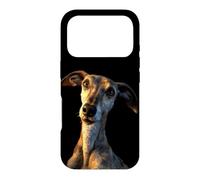 Custodia per iPhone 17 Pro Cani Greyhound Cari Amanti dei Cani Greyhound