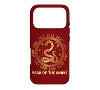 Custodia per iPhone 17 Pro Capodanno cinese del serpente Anni zodiacali cinesi 2025