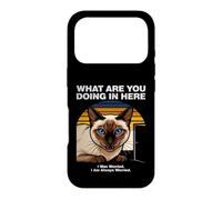 Custodia per iPhone 17 Pro Cosa stai facendo qui Gatto Siamese Ansioso