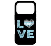 Custodia per iPhone 17 Pro Demiboy Pride Bandiera Amore Vintage Demiboy Bandiera