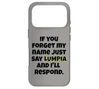 Custodia per iPhone 17 Pro Dimentica il mio nome, basta dire Lumpia Fun Design Uomini Donne Bambini