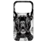 Custodia per iPhone 17 Pro Divertente UFO Bulldog francese Selfie Alien Incontro Cane Meme