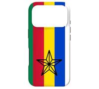 Custodia per iPhone 17 Pro Druzen Bandiera Druzen in Siria Israele Druze Star Druzen