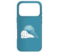 Custodia per iPhone 17 Pro Dune di orsi addormentati minimali retrò tramonto Michigan