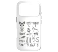 Custodia per iPhone 17 Pro Entomologia Insetti Specie Grafico Scientifico Bug Tassonomia