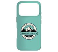 Custodia per iPhone 17 Pro Foresta nazionale di White Mountain New Hampshire
