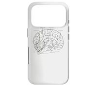 Custodia per iPhone 17 Pro Fun Brain Anatomy Psych Neuroscienze Parti della scienza del cervello