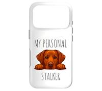 Custodia per iPhone 17 Pro Funny Fox Red Labrador Dog Owner