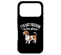 Custodia per iPhone 17 Pro Funny Friends In Low Places Brown Piebald Dachshund Lover