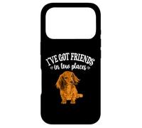 Custodia per iPhone 17 Pro Funny Friends In Low Places Long Haired Dachshund Lover