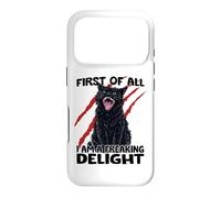 Custodia per iPhone 17 Pro Gatto goblin gatto nero sarcasmo zoomies gatto caos
