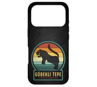 Custodia per iPhone 17 Pro Gobekli Tepe Lion - Gatto grande struttura megalitica antica