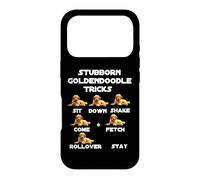 Custodia per iPhone 17 Pro Goldendoodle testardo Trucchi divertenti Barzellette sarcastiche sul cane