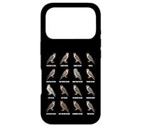 Custodia per iPhone 17 Pro Grafico delle specie di falco Tipi di ornitologia dei falchi