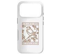 Custodia per iPhone 17 Pro Il suo occhio è sul passero Vintage
