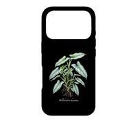 Custodia per iPhone 17 Pro Illustrazione della pianta della spada d'argento del filodendro