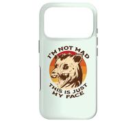 Custodia per iPhone 17 Pro I'm not mad this is just my face divertente opossum urlo meme