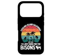 Custodia per iPhone 17 Pro Isola di Catalina Vacanze in California Palm Catalina Island