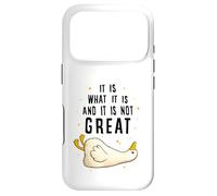 Custodia per iPhone 17 Pro It is What it is And it is not Great Funny Silly Goose Meme