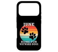 Custodia per iPhone 17 Pro June Home For Wayward Dogs Cognome
