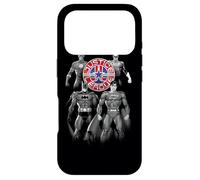 Custodia per iPhone 17 Pro Justice League Shades of Gray