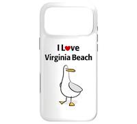 Custodia per iPhone 17 Pro Max Amo Virginia Beach