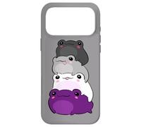 Custodia per iPhone 17 Pro Max Asexual Flag Color Frog Subtle Queer Pride LGBTQ Aesthetic