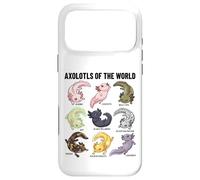 Custodia per iPhone 17 Pro Max Axolotl of the World Axolotl Morphs Chart Arte educativa