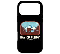 Custodia per iPhone 17 Pro Max Baia di Fundy Canada