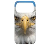 Custodia per iPhone 17 Pro Max Bald Eagle Close Up Ritratto Sharp Wildlife Face