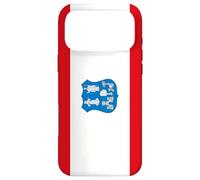 Custodia per iPhone 17 Pro Max Bandiera di Asunción - Paraguay