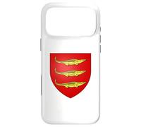 Custodia per iPhone 17 Pro Max Bandiera di Bamako - Mali