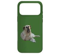 Custodia per iPhone 17 Pro Max Cane Kangal che sbadiglia vettoriale tagliato
