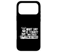 Custodia per iPhone 17 Pro Max Che giorno è oggi chi se ne frega Sono in pensione felice