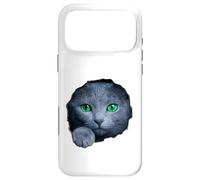 Custodia per iPhone 17 Pro Max Colpisce il gatto blu russo con gli occhi verdi che sbirciano attraverso
