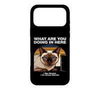 Custodia per iPhone 17 Pro Max Cosa stai facendo qui Gatto Siamese Ansioso