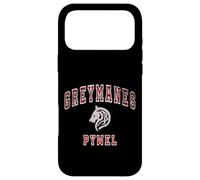 Custodia per iPhone 17 Pro Max Distressed Greymanes Crimson Desert Pywel Funny Design