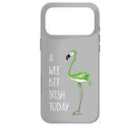 Custodia per iPhone 17 Pro Max Essere un po' irlandese oggi - fenicottero verde