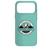 Custodia per iPhone 17 Pro Max Foresta nazionale di White Mountain New Hampshire